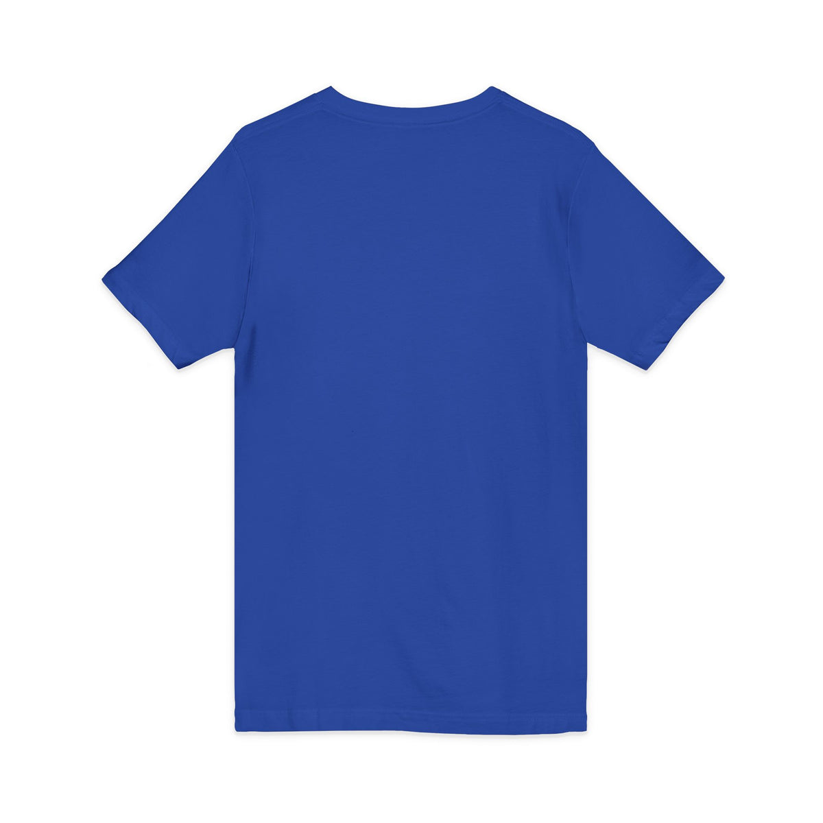 Friendship Panthers Mascot V-Neck Tee — School Spirit Sports T-Shirt